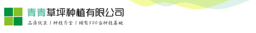 凯发娱乐直属